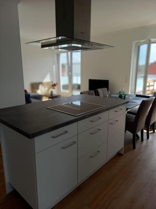Appartement Grosse Moderne Penthouse Mit Dachterrasse Uetersen